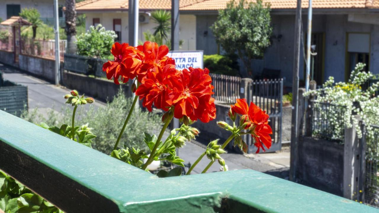 Bed & Breakfast Grotta Del Monaco